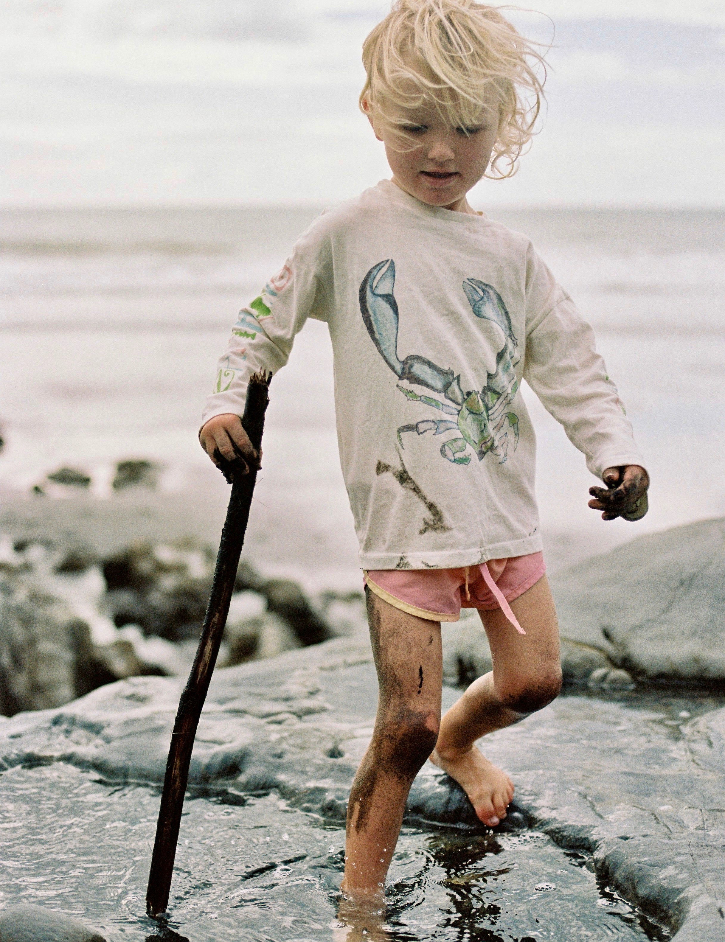 Slide image