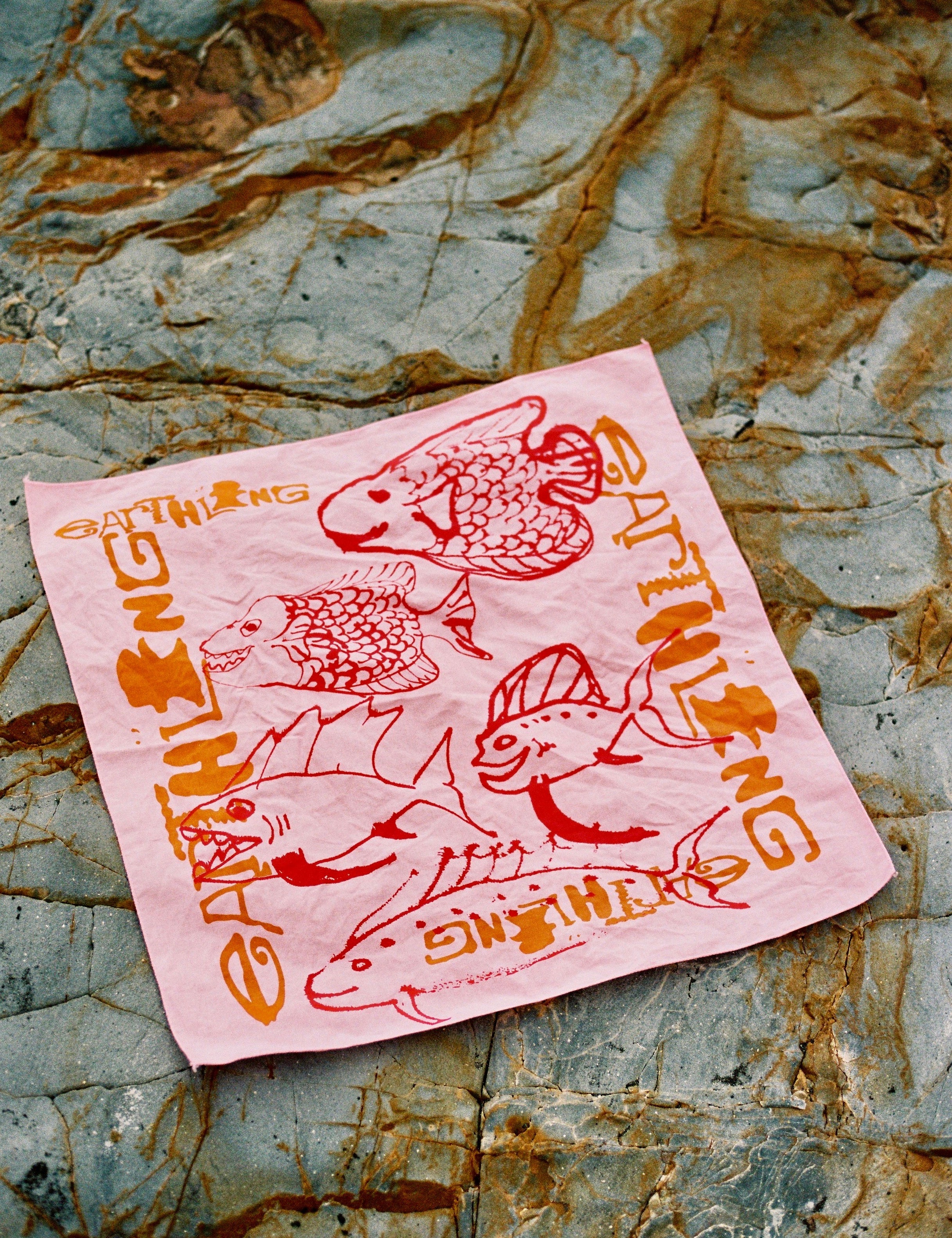 Slide image