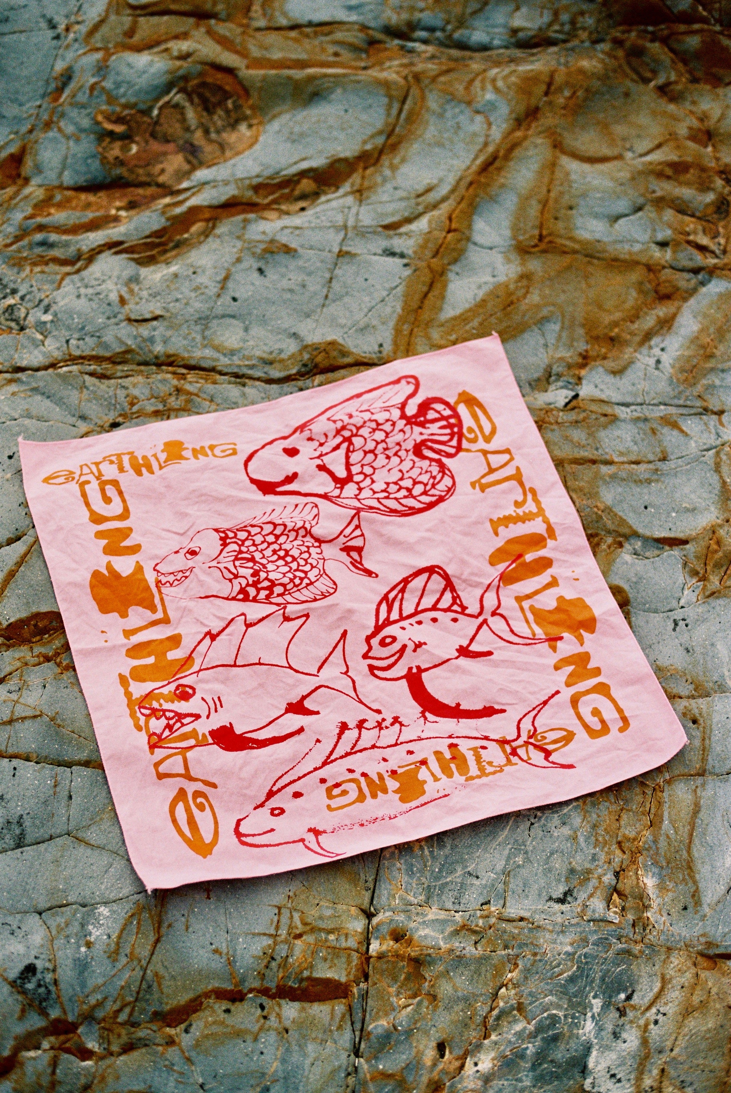 Slide image
